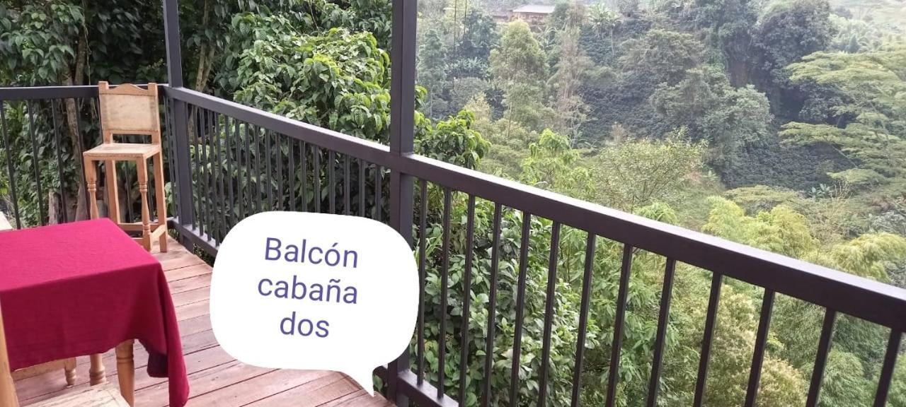 Hostal Y Cabanas Los Juanes 贾丁 外观 照片